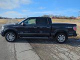 Used 2013 Ford F150 Platinum image 4