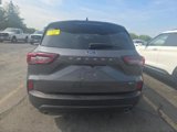 Certified 2025 Ford Escape ST-Line w/ Equipment Group 301A image 5