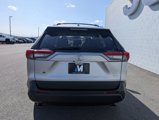 Used 2021 Toyota RAV4 XLE Premium image 4