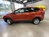 Used 2019 Ford Escape SE image 2