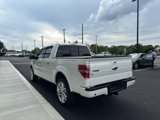 Used 2013 Ford F150 Limited image 5