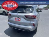 Used 2024 Ford Escape ST-Line image 6