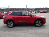 Used 2020 Ford Escape SEL image 5