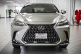 Used 2023 Lexus NX 250 FWD image 4