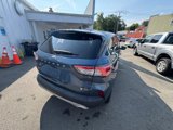Used 2020 Ford Escape SE image 5