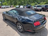 Used 2016 Ford Mustang Premium image 3