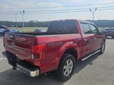 Used 2018 Ford F150 XLT w/ Equipment Group 302A Luxury image 5