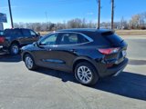Used 2022 Ford Escape SE w/ Convenience Package image 6
