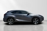 Used 2019 Lexus NX 300 FWD w/ Premium Package image 2
