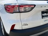 Used 2020 Ford Escape SE image 6