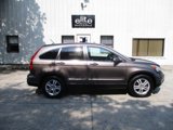 Used 2010 Honda CR-V EX-L image 6