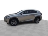 Used 2021 Lexus NX 300 AWD w/ Luxury Package image 4