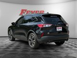 Used 2022 Ford Escape SE w/ SE Sport Appearance Package image 3