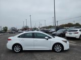Certified 2024 Toyota Corolla LE image 3