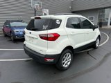 Used 2019 Ford EcoSport SE w/ SE Convenience Package image 3