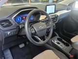 Used 2022 Ford Escape Titanium w/ Titanium Elite Package image 6