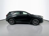 New 2025 Lexus NX 250 FWD image 4