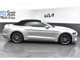 Used 2019 Ford Mustang Premium w/ Equipment Group 201A image 6