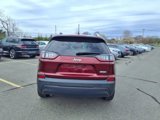 Used 2019 Jeep Cherokee Latitude Plus image 4
