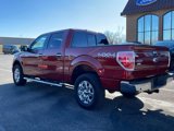 Used 2014 Ford F150 XLT w/ Equipment Group 302A Luxury image 6
