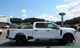 New 2024 Ford F250 XL w/ STX Appearance Package image 6