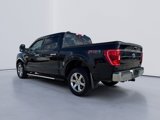 Certified 2023 Ford F150 XLT w/ Equipment Group 302A High image 3