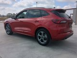 Used 2024 Ford Escape ST-Line image 6