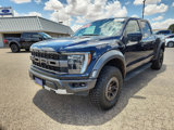 Certified 2022 Ford F150 Raptor w/ Equipment Group 801A High image 3