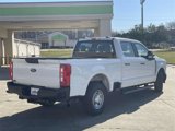 Used 2024 Ford F250 XL image 3
