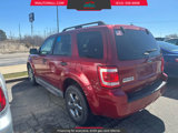 Used 2011 Ford Escape XLT w/ 201A Rapid Spec Order Code image 5