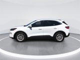 Used 2020 Ford Escape SE image 5