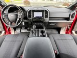 Used 2020 Ford F150 XLT w/ Equipment Group 302A Luxury image 4