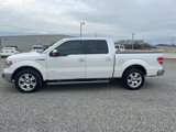 Used 2013 Ford F150 Lariat w/ Luxury Equipment Group image 3