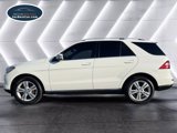 Used 2014 Mercedes-Benz ML 350 2WD image 2