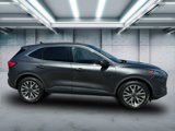Used 2020 Ford Escape Titanium image 3