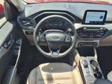 Certified 2022 Ford Escape SEL image 3