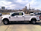 Used 2019 Ford F250 XL w/ Power Equipment Group image 4