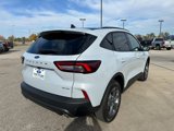 New 2025 Ford Escape ST-Line w/ Tech Pack #1 image 5
