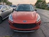 Used 2020 Ford Escape SE Sport image 2