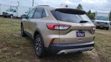 Certified 2020 Ford Escape SEL image 2