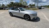 Used 2017 Ford Mustang Convertible w/ Equipment Group 051A image 2