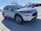 Used 2022 Ford Escape SEL image 6