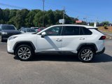 Used 2019 Toyota RAV4 XLE Premium image 2