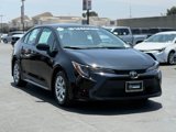 Certified 2025 Toyota Corolla LE image 6