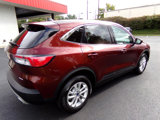 Used 2021 Ford Escape SE w/ Convenience Package image 3