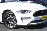 Certified 2020 Ford Mustang Premium image 4