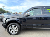 Used 2019 Ford F150 Platinum w/ Equipment Group 701A Luxury image 6