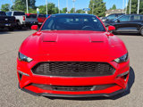 Certified 2019 Ford Mustang Coupe w/ Black Accent Package image 3