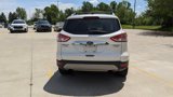 Used 2015 Ford Escape Titanium image 4
