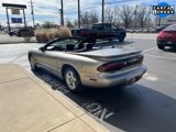 Used 2002 Pontiac Firebird Convertible image 4
